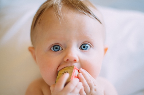 20190110_baby_1_1.jpg