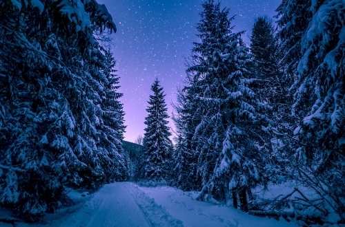20190110_Characters of photography_3_8.jpg