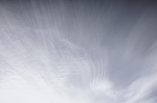 20190110_Characters of photography_3_10.jpg